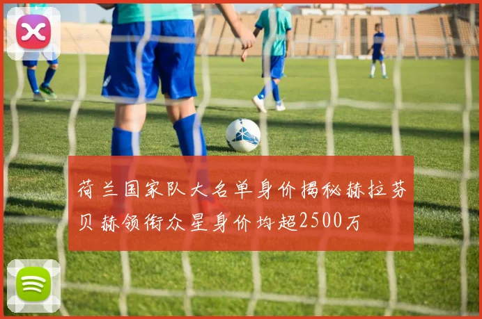 荷兰国家队大名单身价揭秘赫拉芬贝赫领衔众星身价均超2500万