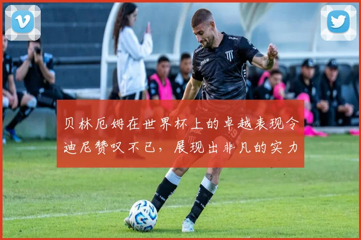 贝林厄姆在世界杯上的卓越表现令迪尼赞叹不已，展现出非凡的实力与魅力